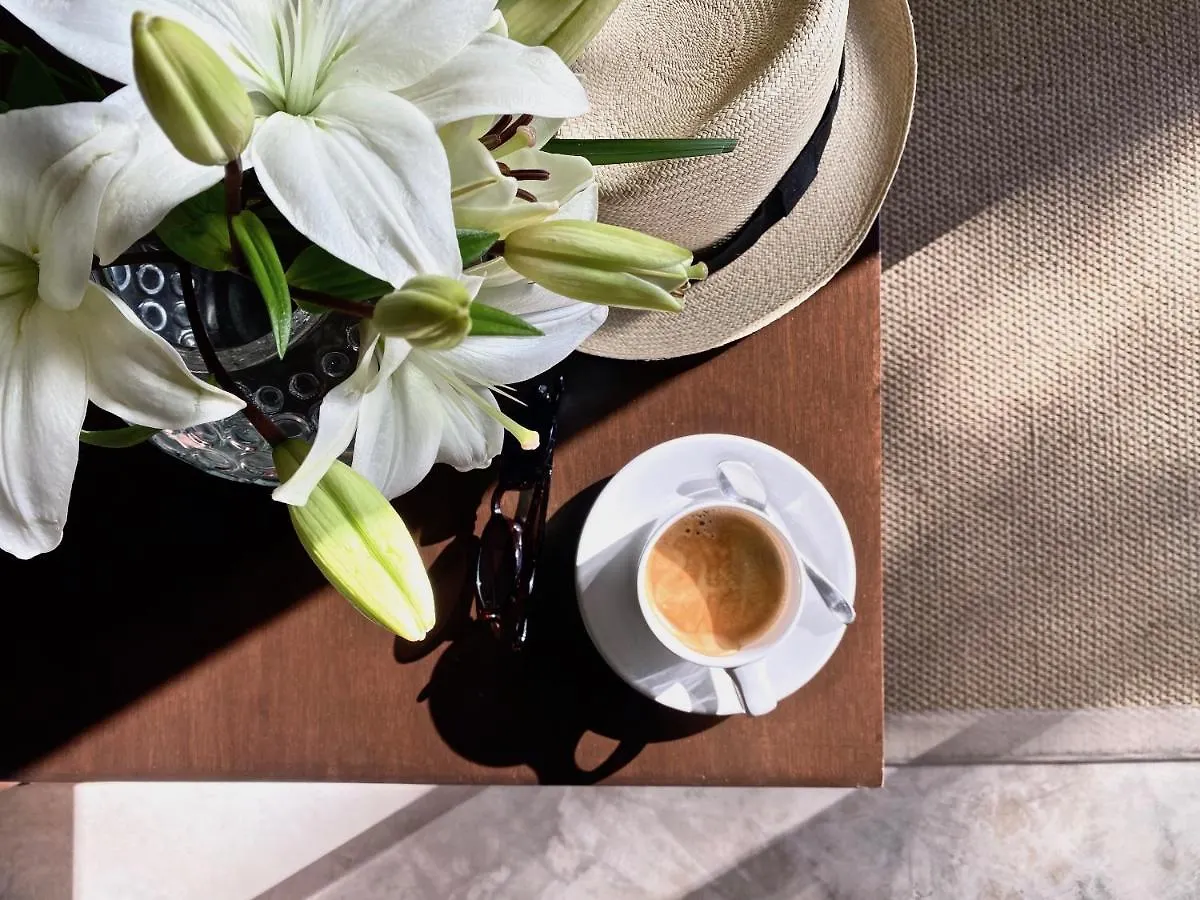 The Diplomat Boutique Hotel Merida