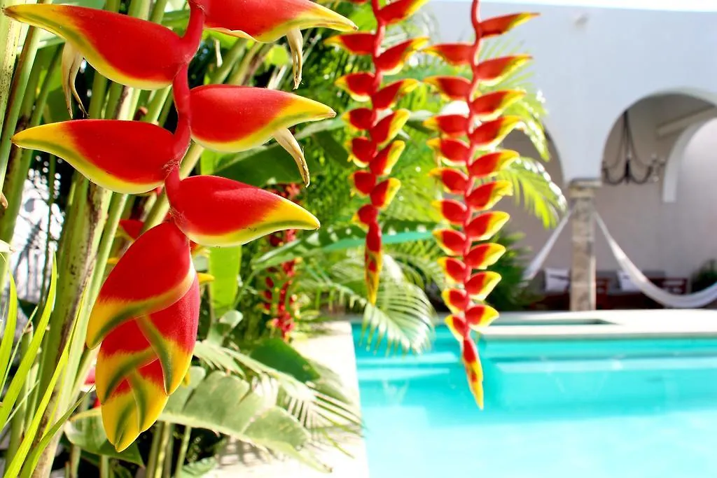 The Diplomat Boutique Hotel Merida